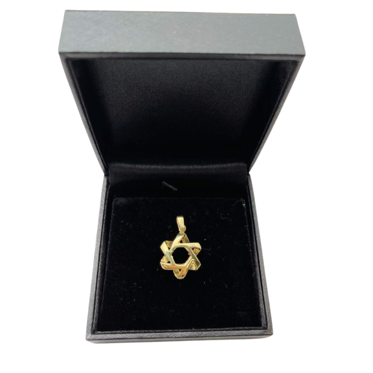 Pinwheel Star of David Pendant in 14k Solid Gold