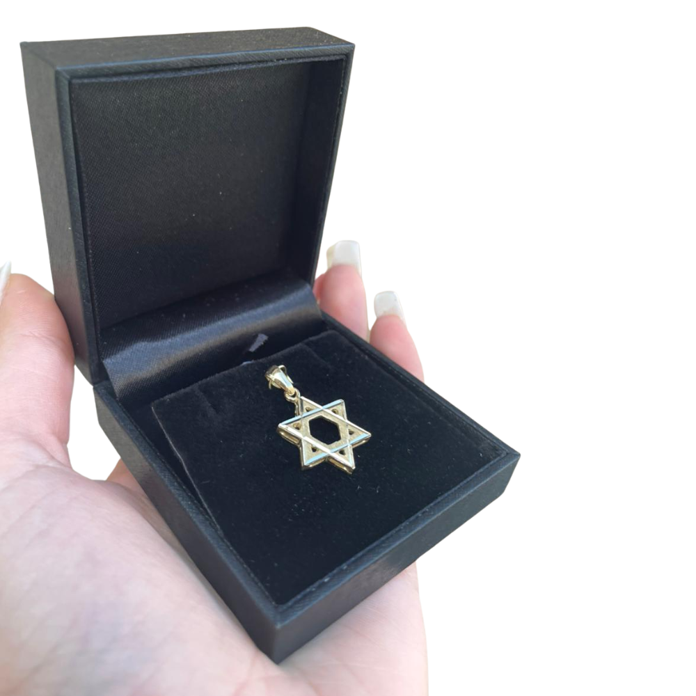 Star of David Pendant - with Lines Dual Finish 14k Gold