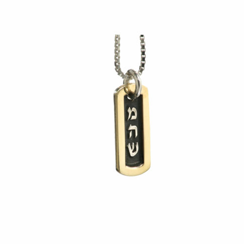 Silver and Gold Kabbalah Tag Necklace - Baltinester Jewelry