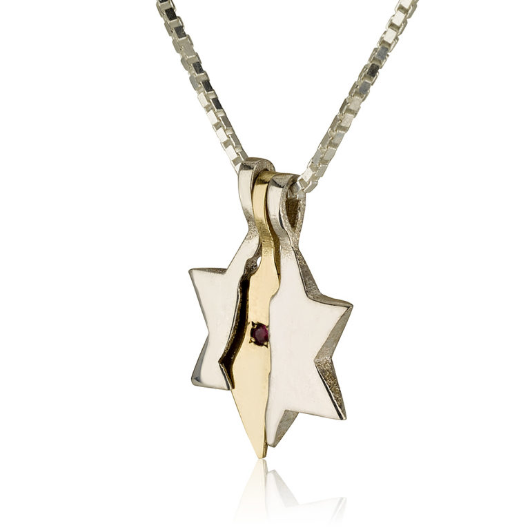 Land of Israel Star of David Pendant - Baltinester Jewelry