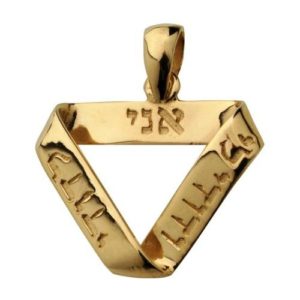 14k Gold Ani L'Dodi Infinity Pendant - Baltinester Jewelry