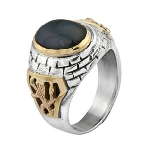 Silver and Gold Lion of Judah Black Onyx Ring - Baltinester Jewelry