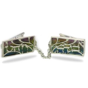 Enamel Rainbow Alef Bet Silver Tallis Clips - Baltinester Jewelry