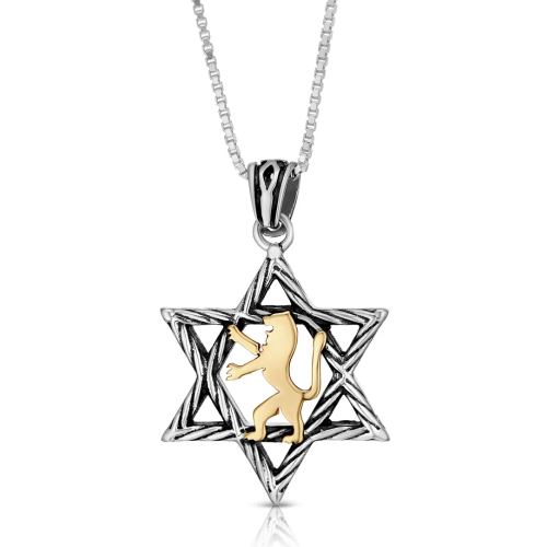 Lion of Judah & Star of David Necklace in 9K Gold and Silver