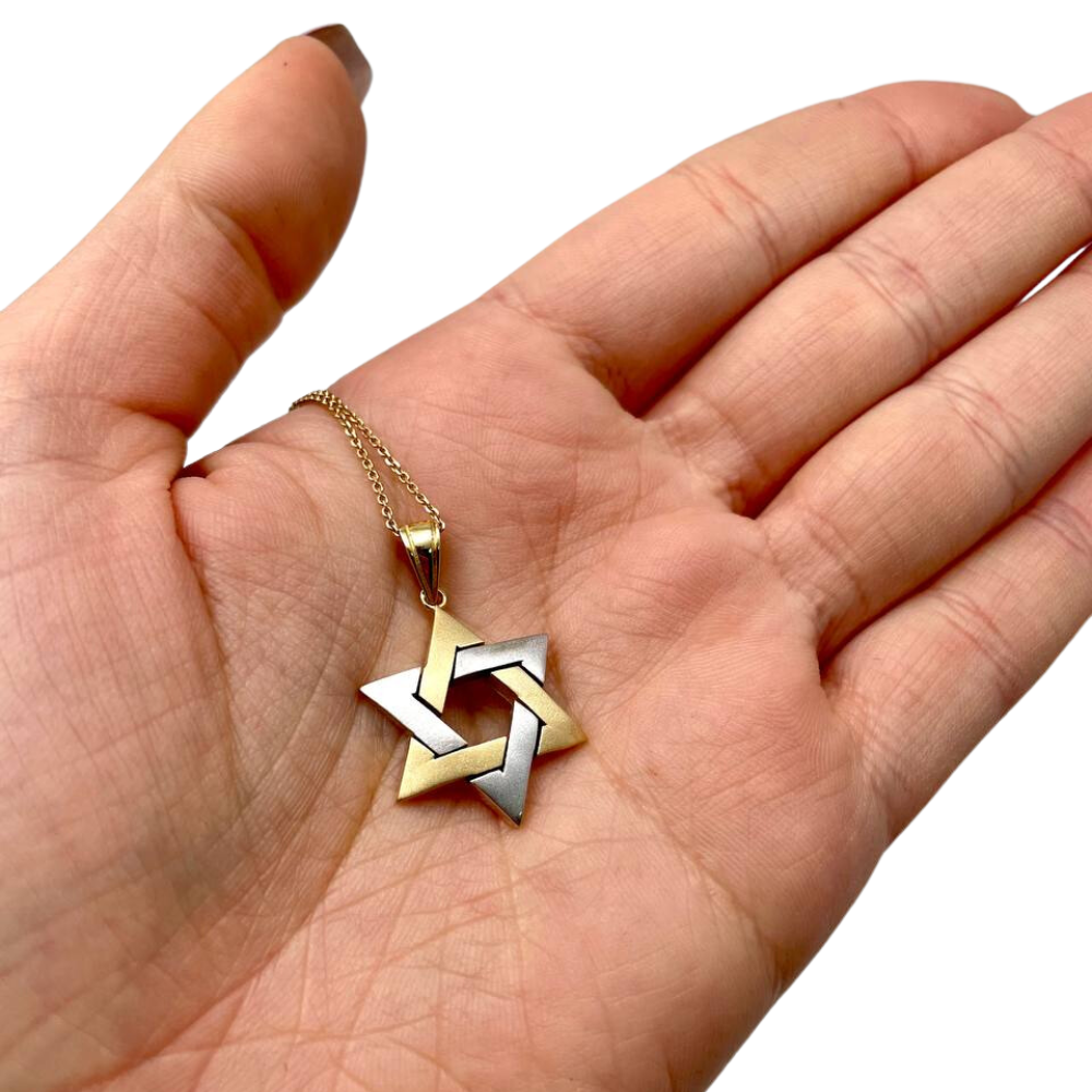 Domed Interwoven Star of David Pendant in 14K Gold Two Tone