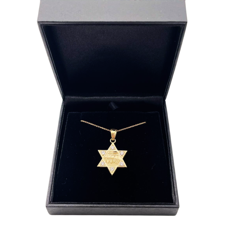 Diamond Jerusalem Wall Star of David Pendant in 14K Gold