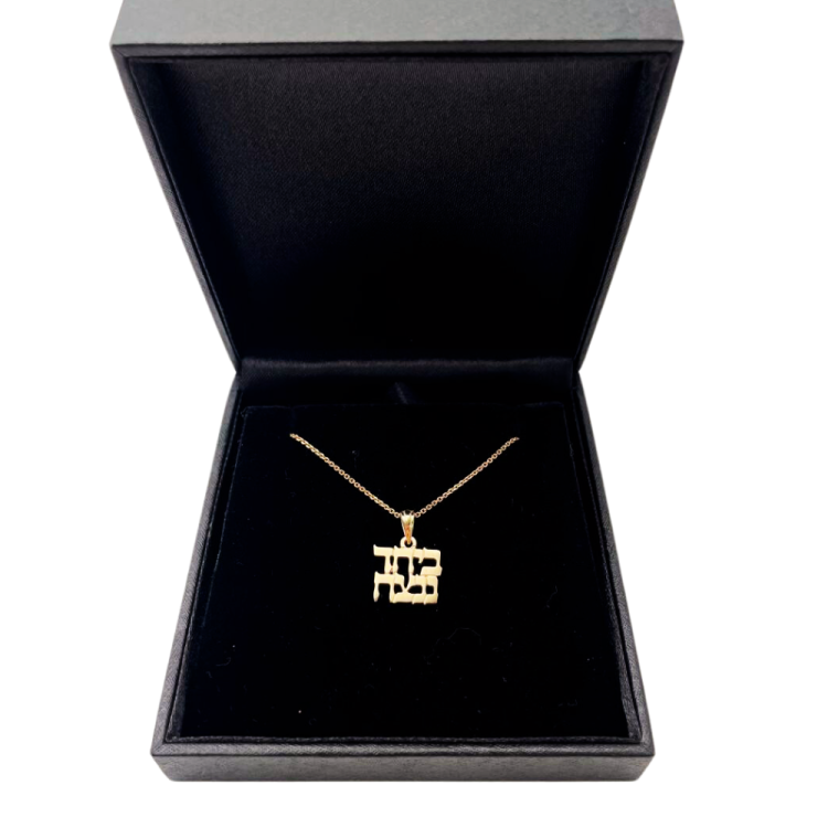 Together We Will Win Hebrew Pendant in 14K Gold - Support Israel